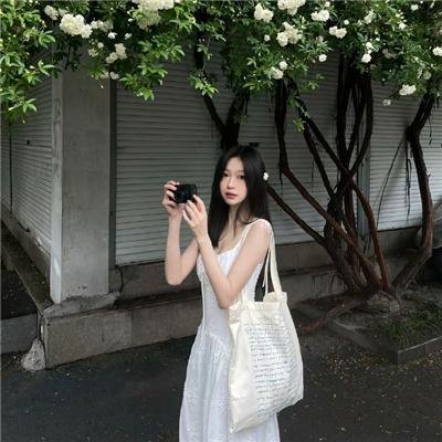 夏绿蒂的网
